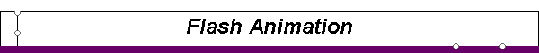 Flash Animation